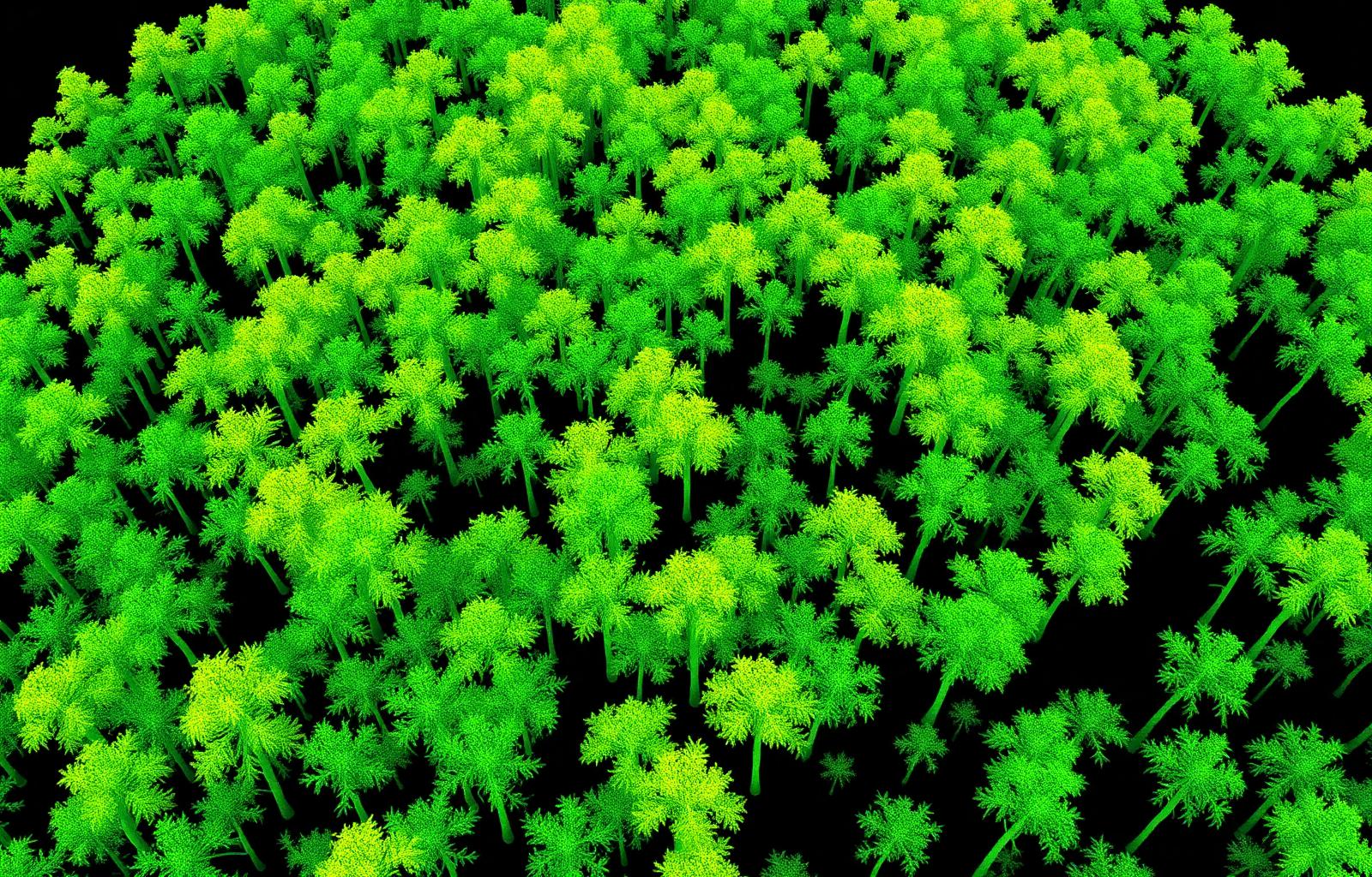 LiDAR point cloud · canopy heights